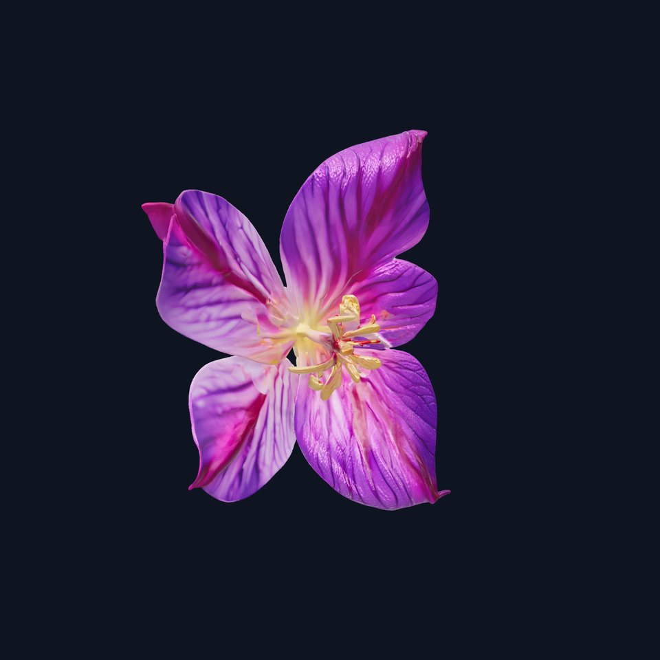 Vivid Purple Clematis Flower Model Pack